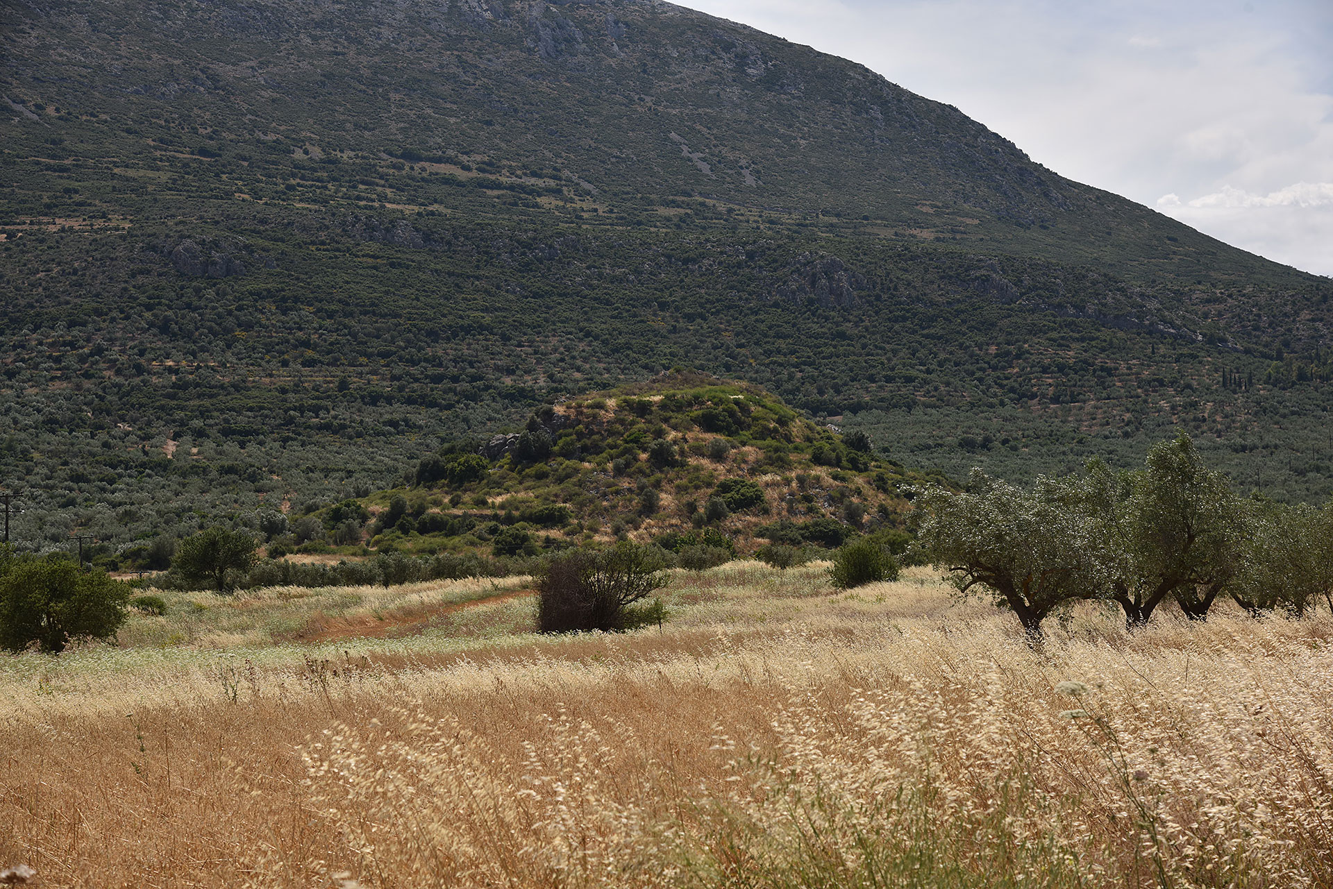 Acropoli preistorica “Megalos Mastos”, Prosimni