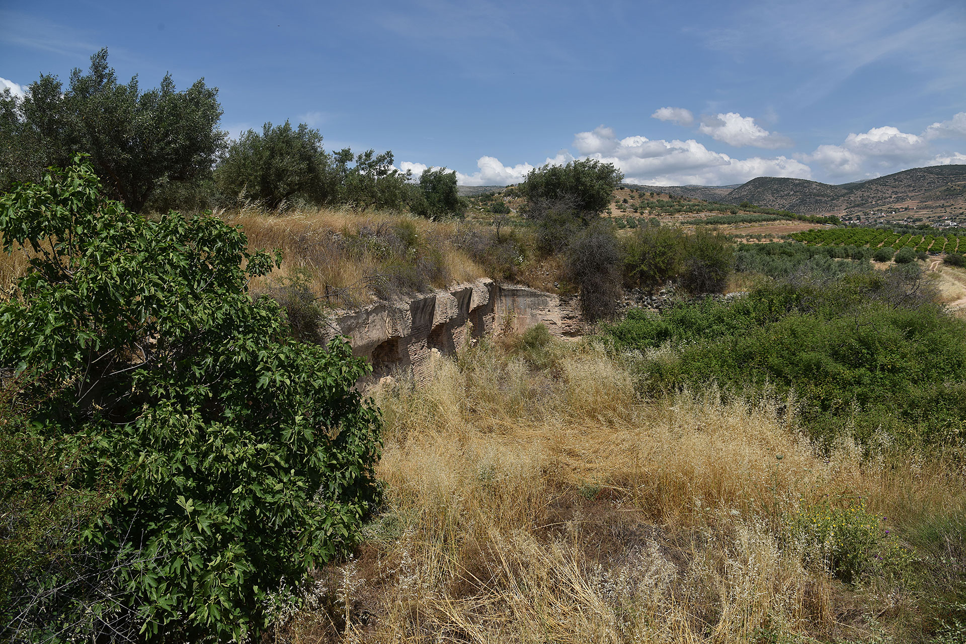 Ρωμαϊκή Δεξαμενή, Προσύμνη