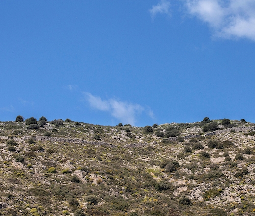 Der Insel Romvi Der Insel Romvi