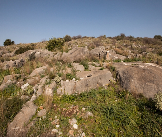 Antica cava di Iria Antica cava di Iria