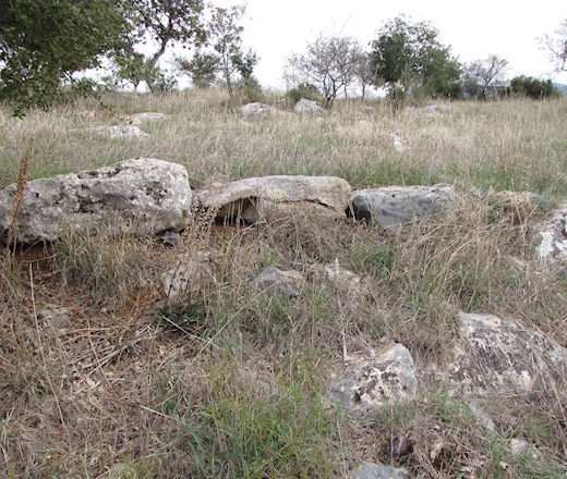 Antikes Oinoi, Mazi (Merkouri) Antikes Oinoi, Mazi (Merkouri)